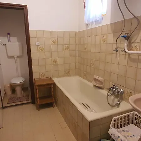 Apartment In Siofok/balaton 20010